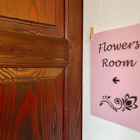 1912 - Flowers Room - Budget For Young Locarno Buitenkant foto